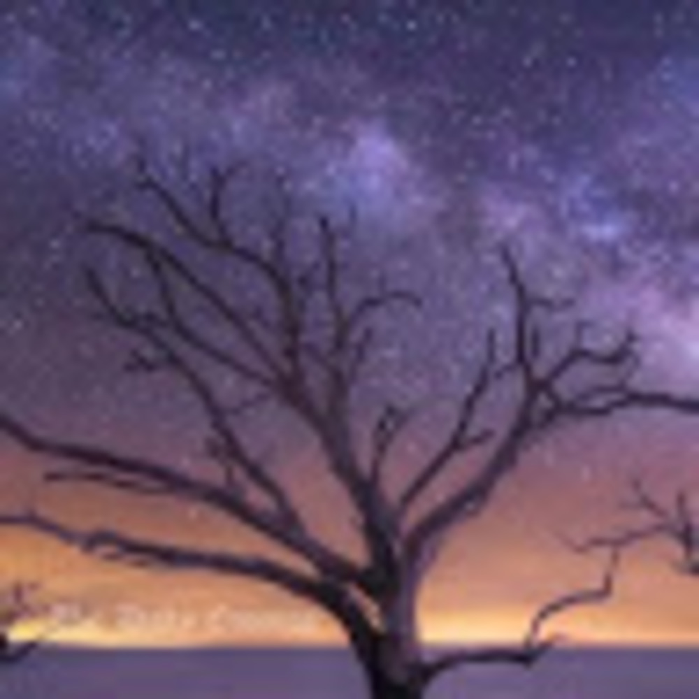 Meet your Posher, Bodhilady